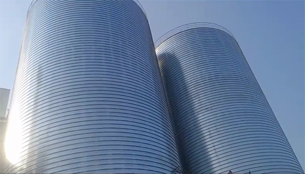 涵江2座混凝土高架卷板仓